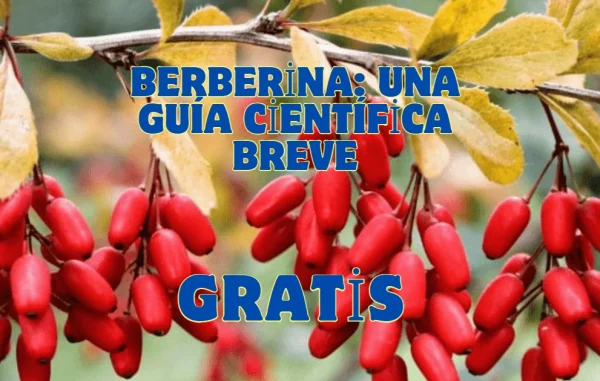 Berberina