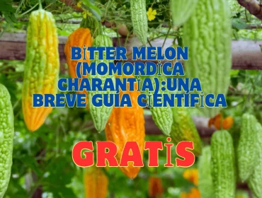 Bitter Melon