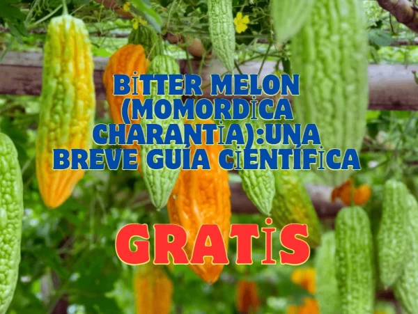 Bitter Melon