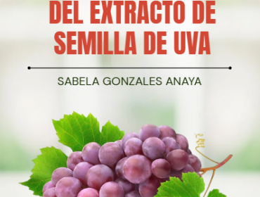 Su Guía Completa del Extracto de Semilla de Uva